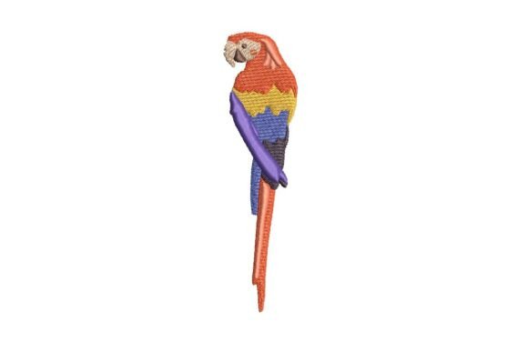 Vibrant Red Parrot Embroidery